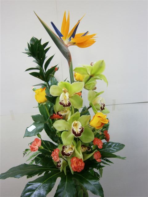 Tmi Kukkakauppa Kirsikankukka