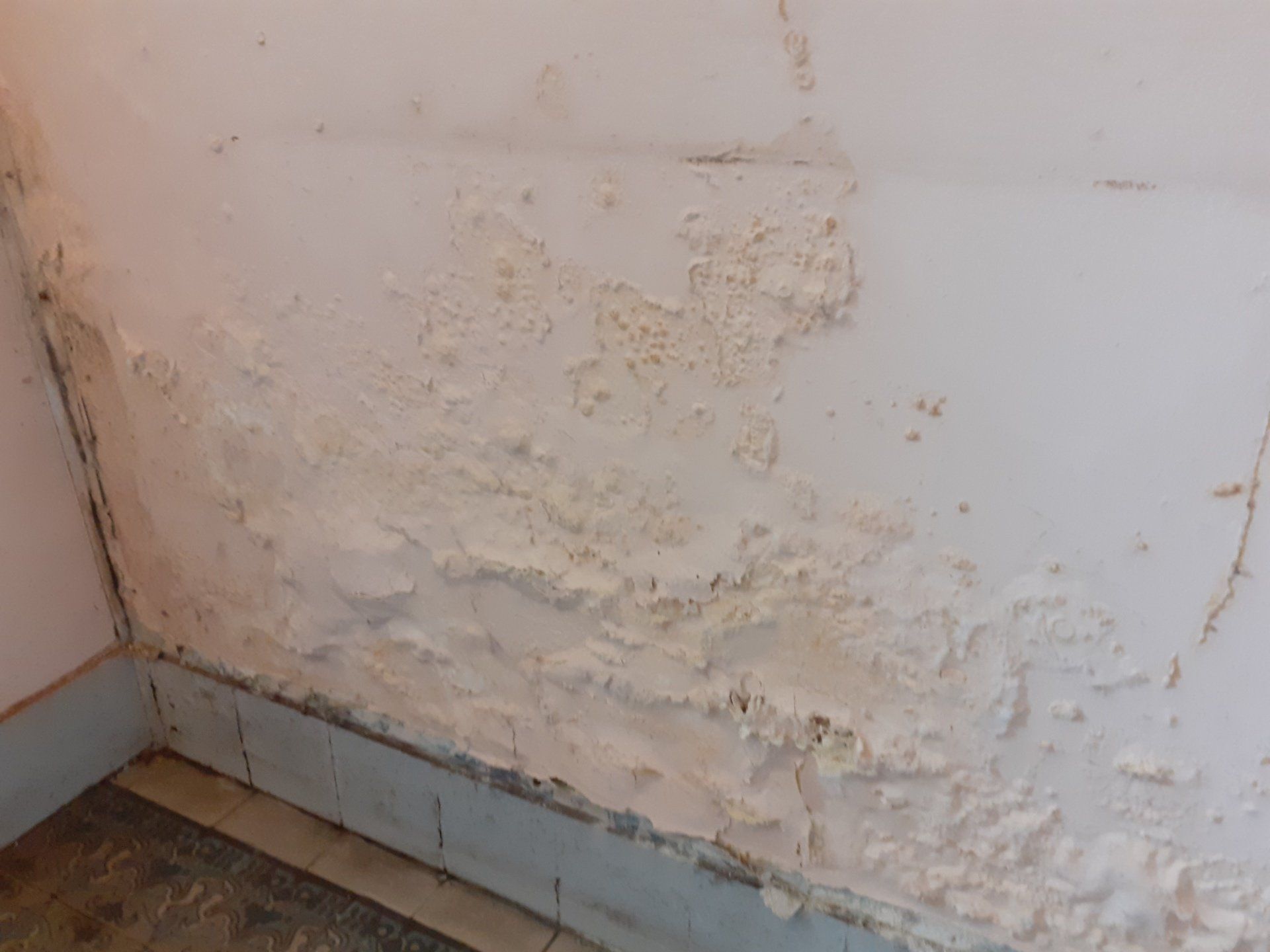 Les remontées capillaires ou remontées d'eau dans les murs provoquent des dégradations sur les enduits qui cloquent ou tombent du mur humide.