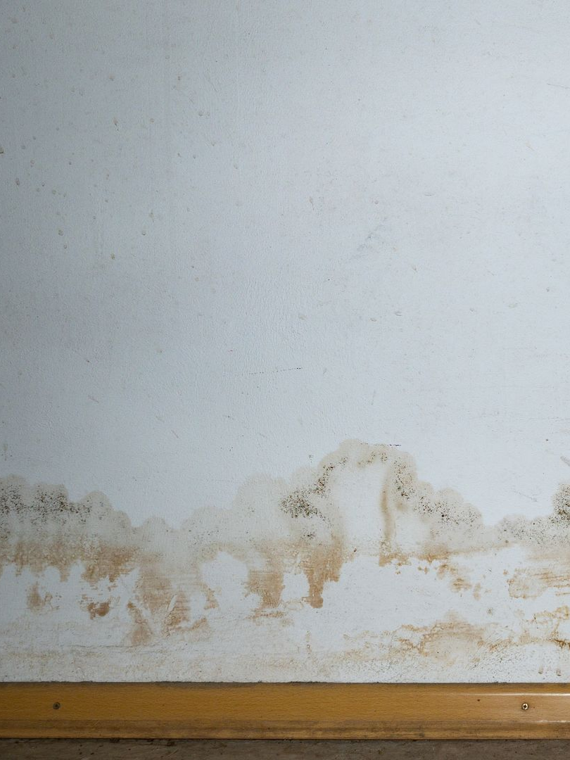 Mur endommagé par l'eau présentant des taches de moisissure brunes et noires près de la base, au-dessus d'une latte de bois.