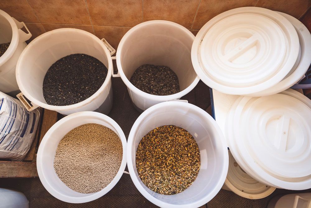 Weiße Eimer gefüllt mit verschiedenen Getreidesorten: schwarz, braun, beige und hellbraun, mit Deckeln daneben.