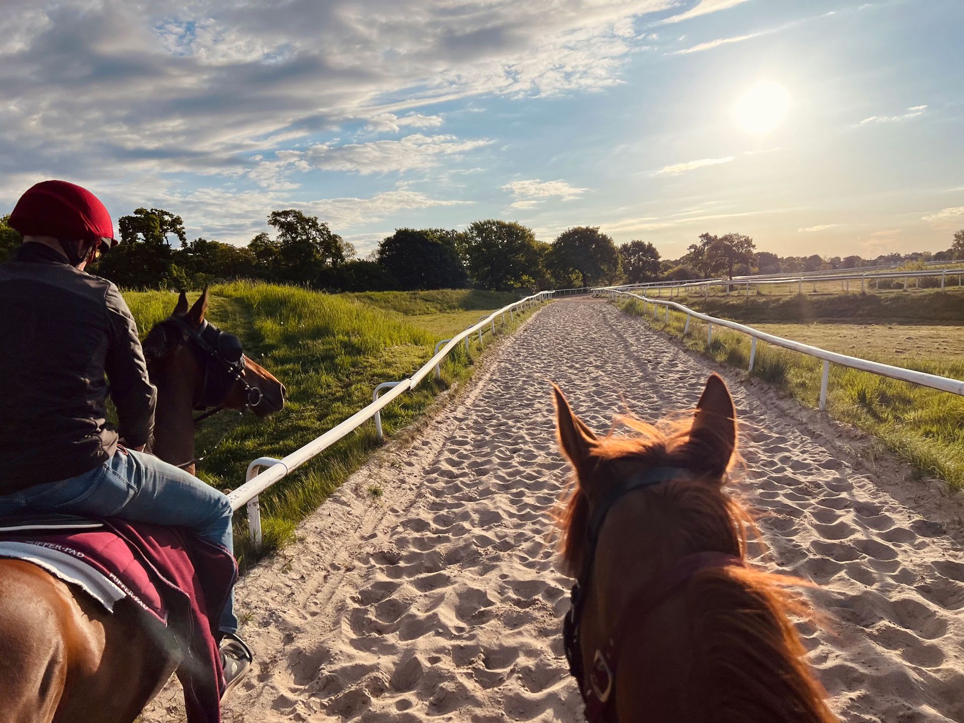 Zwei Personen reiten auf Pferden auf einem sandigen Weg unter sonnigem Himmel.