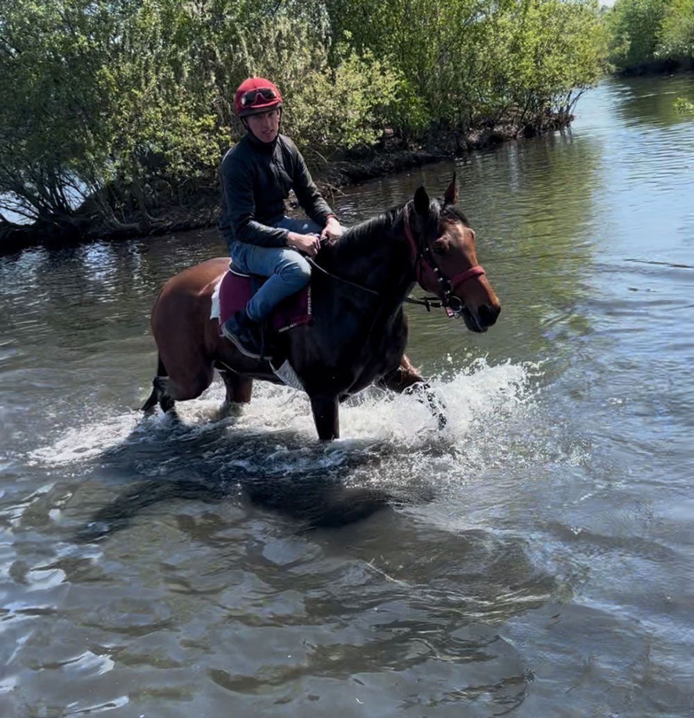Eine Person reitet an einem sonnigen Tag auf einem braunen Pferd durch seichtes Wasser.