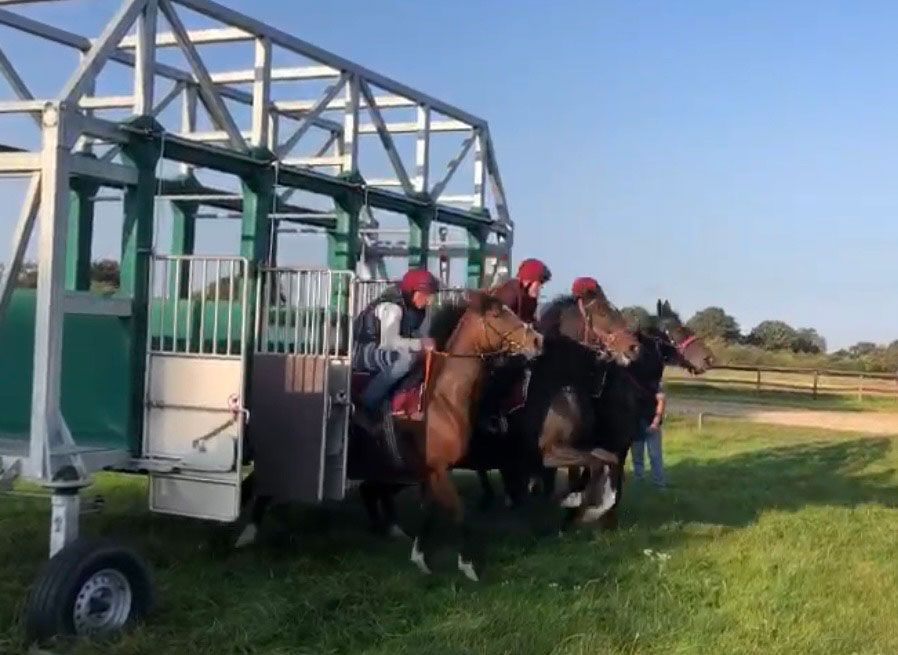 Pferde und Jockeys am Startgatter, bereit zum Rennen. Grün-weißes Tor auf einer grasbewachsenen Wiese, sonniger Tag.
