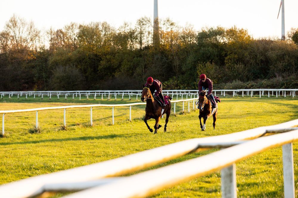 Zwei Rennpferde mit Reitern auf einer grasbewachsenen Rennbahn bei Tageslicht.