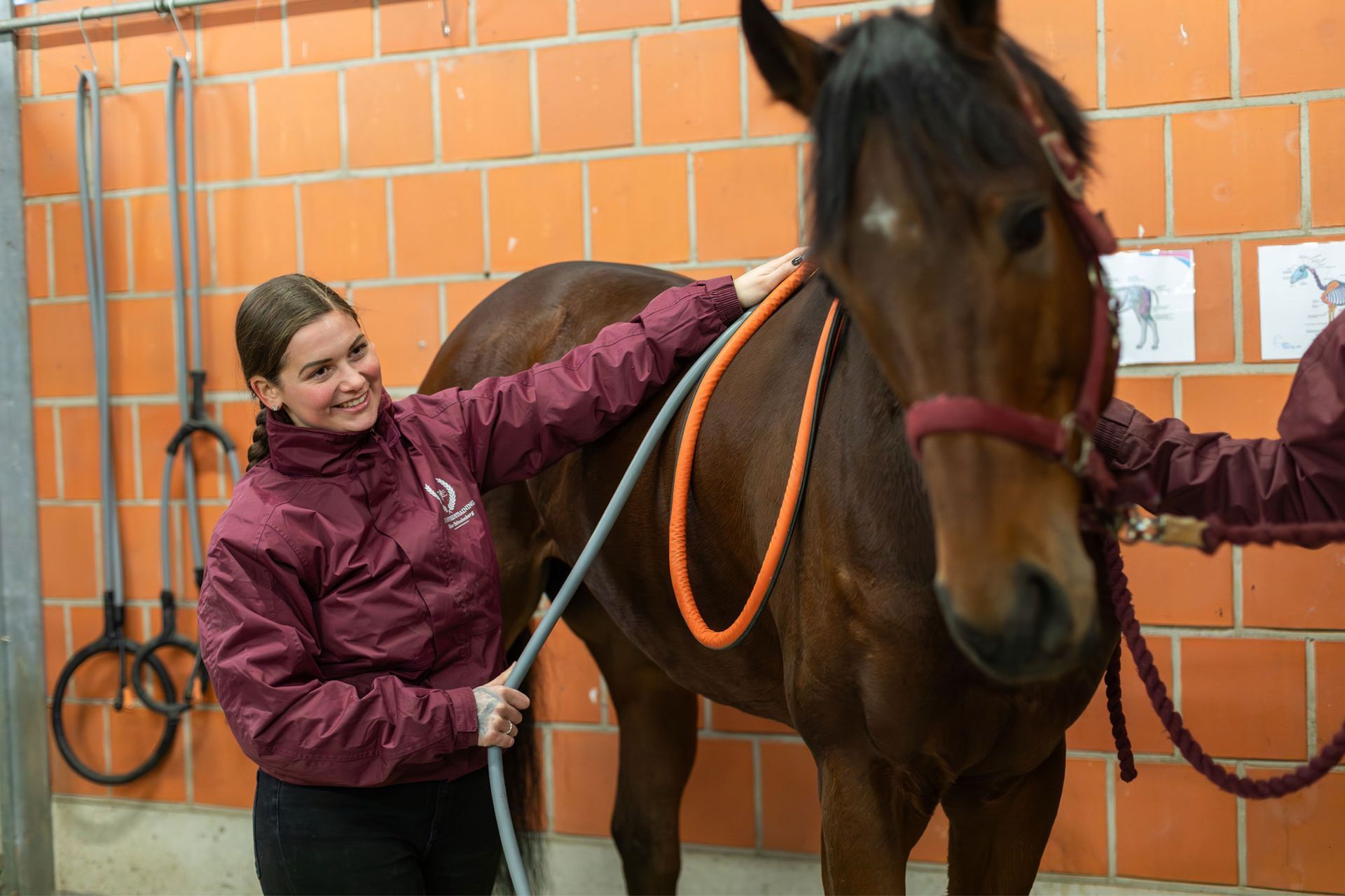 Eine Frau in einer weinroten Jacke lächelt und streichelt ein braunes Pferd im Stall. Sie hält ein Seil in der Hand.