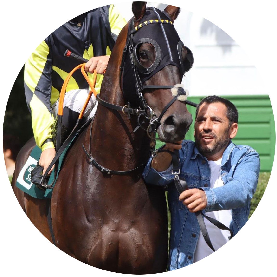 Graue Silhouette einer Person, Kopf und Oberkörper, mit einem weißen Kreis für das Gesicht.