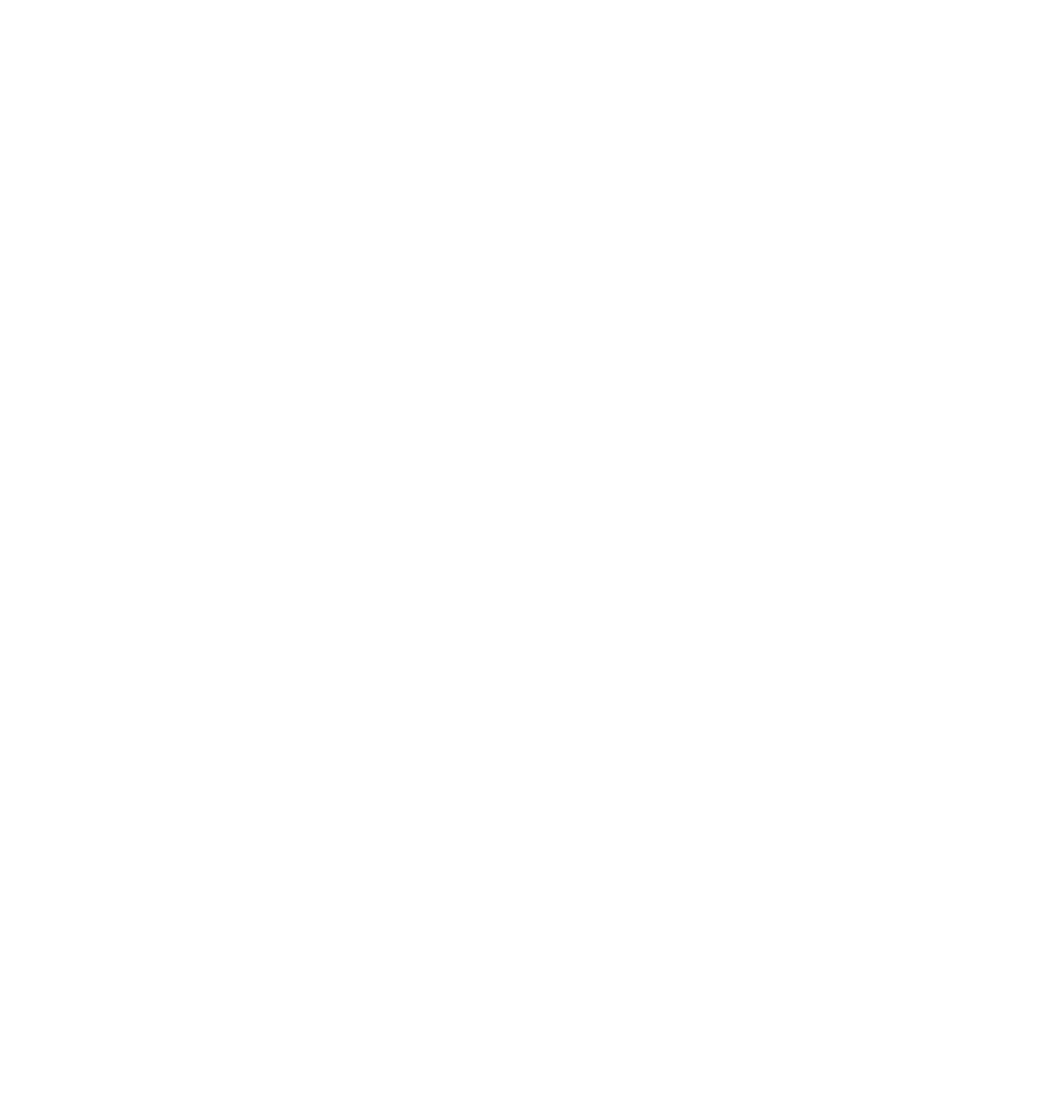 Logo Felix Feuck