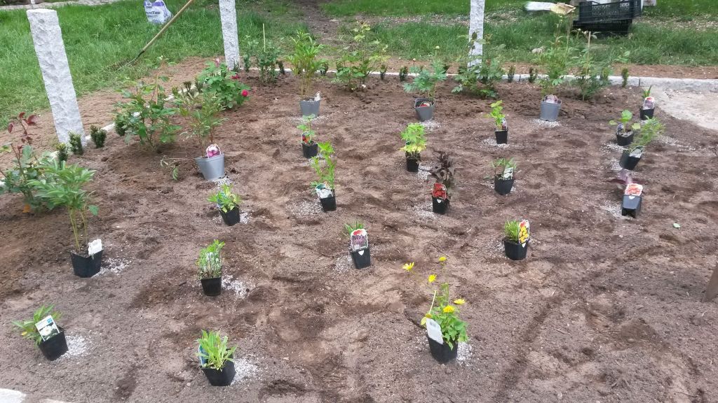 Susanne Amman Garten Zeißlhof Garten- und Landschaftsbau