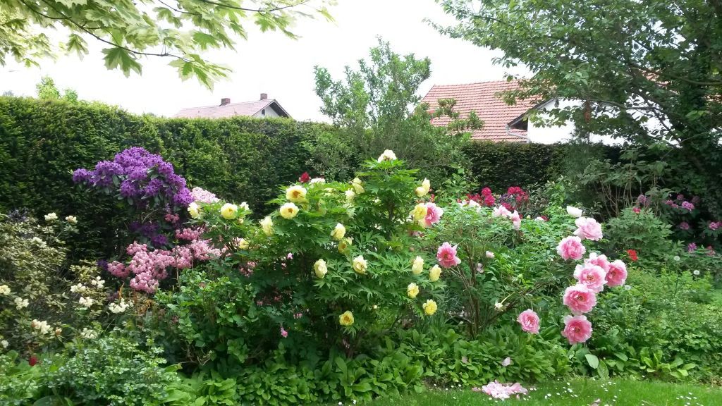 Susanne Amman Garten Zeißlhof Garten- und Landschaftsbau