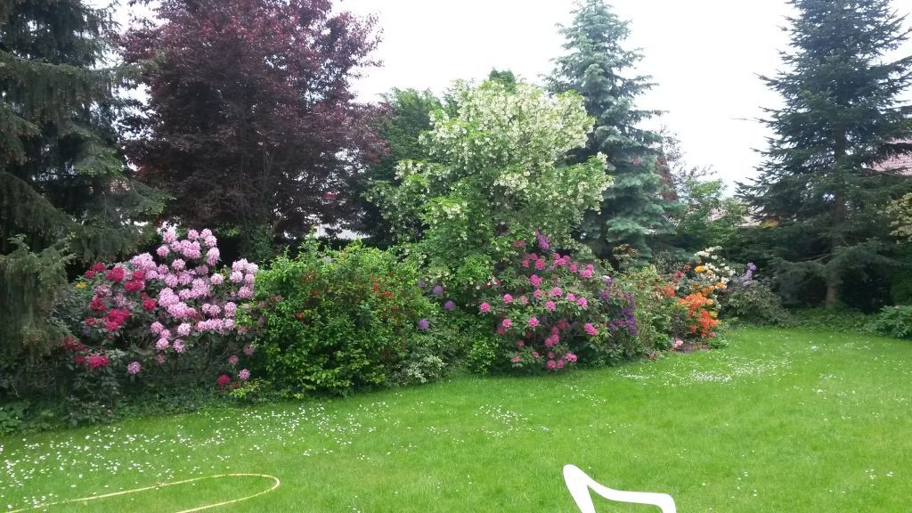 Susanne Amman Garten Zeißlhof Garten- und Landschaftsbau