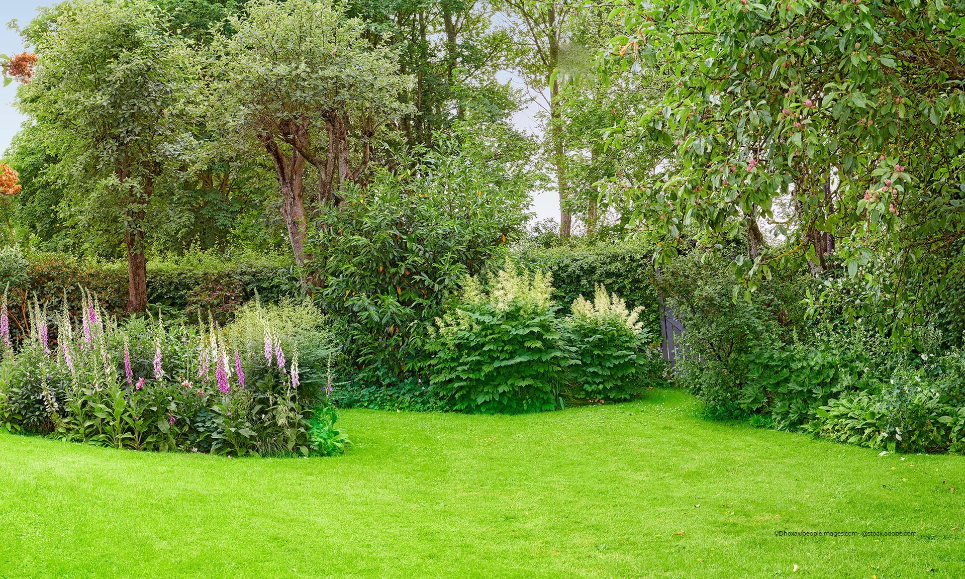 gepflegte Grünfläche