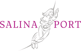SALINAPORT GmbH-logo