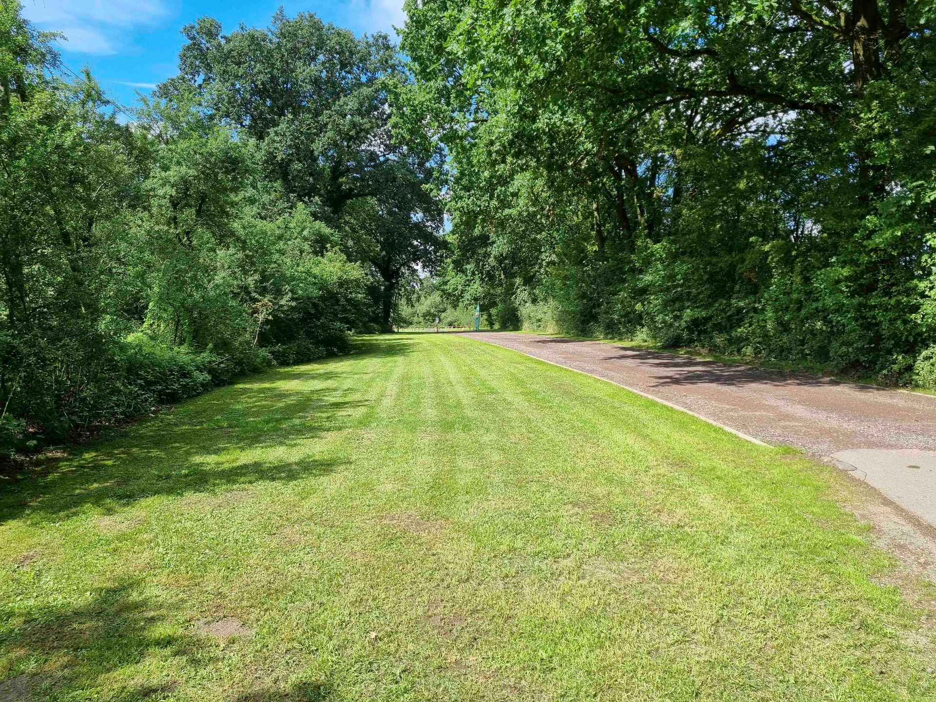 Eine unbefestigte Straße, die durch ein üppiges grünes Feld führt, umgeben von Bäumen.