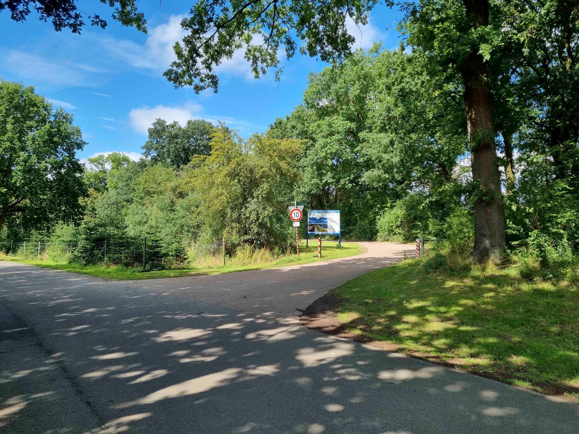 Eine Straße, die an einem sonnigen Tag von Bäumen und Gras umgeben ist.