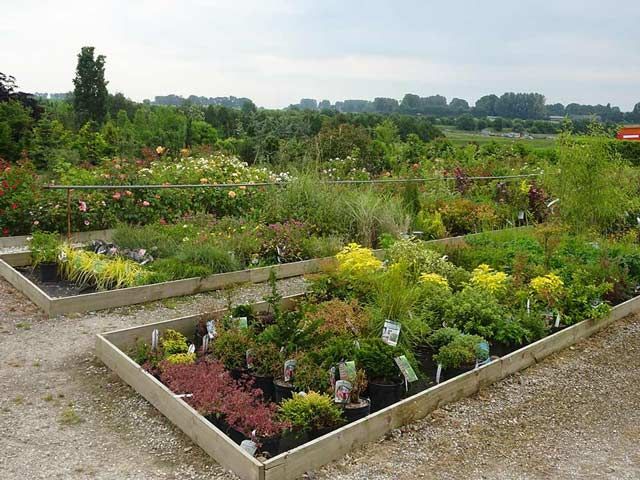 Jardinières surélevées avec des fleurs et des plantes colorées dans un parterre de gravier