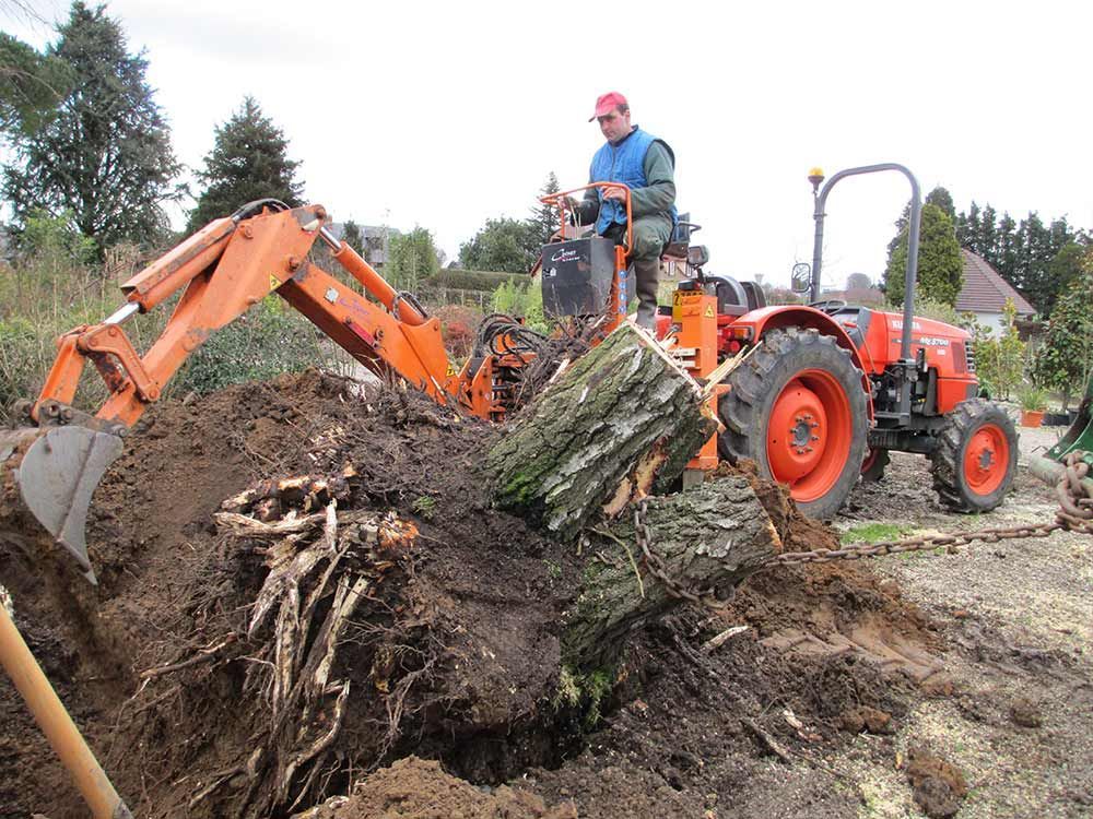 Une pelleteuse orange et un tracteur déterrent une grosse souche d'arbre dans une cour boueuse
