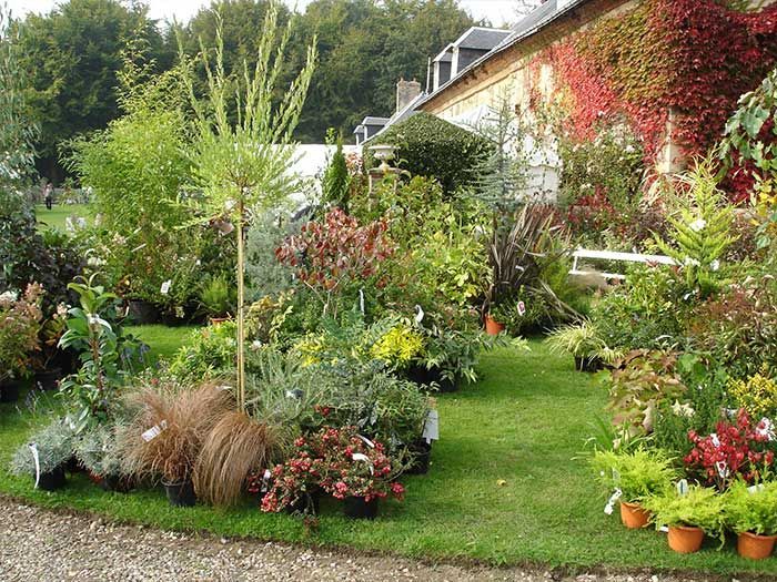 Jardin luxuriant avec fleurs colorées, arbustes et pelouse jouxtant une maison recouverte de vigne rouge.
