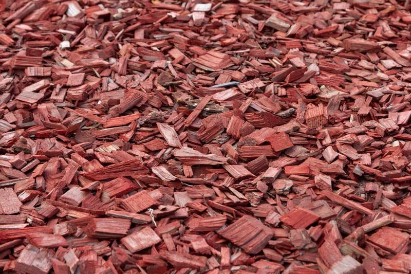 Des copeaux de paillis de bois rouge remplissent le cadre.