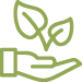 Main tenant une plante