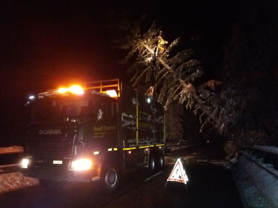 Andi Caviezel Holztransporte
