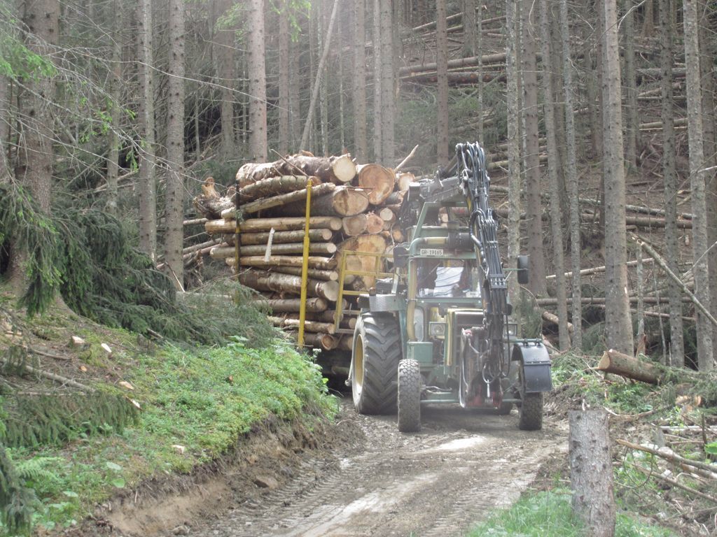 Andi Caviezel Holztransporte