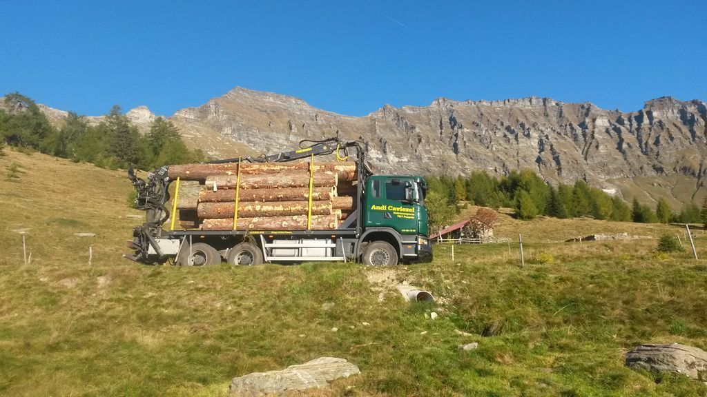 Holztransport mit LKW – Caviezel Holztransporte