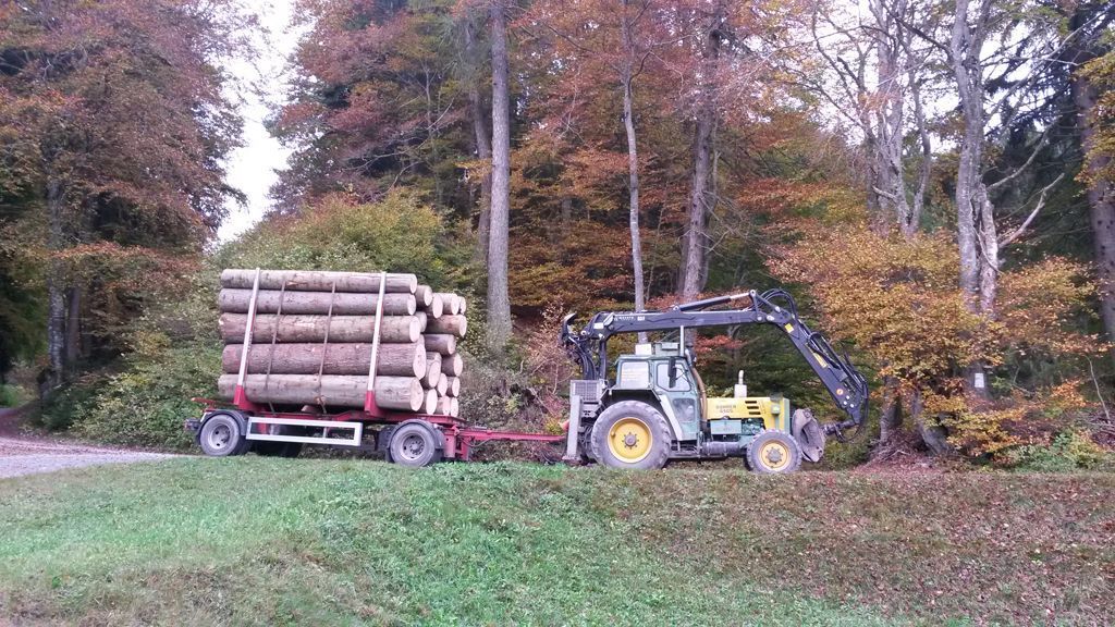Traktor mit Anhänger - Andi Caviezel Holztransporte