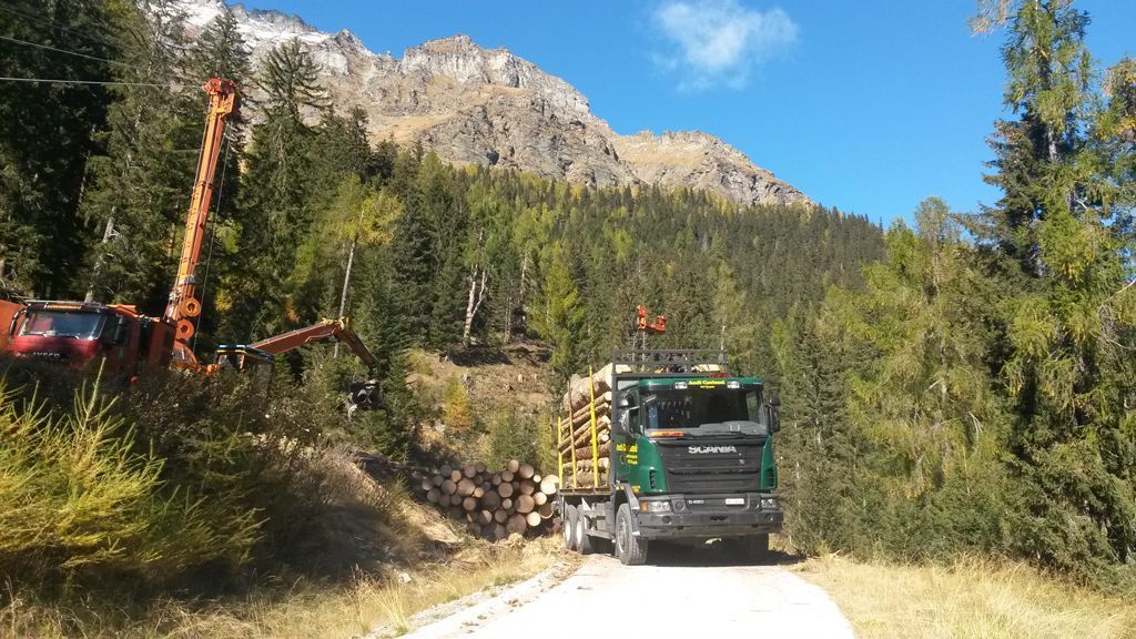 LKW mit Baumstämmen - Andi Caviezel Holztransporte