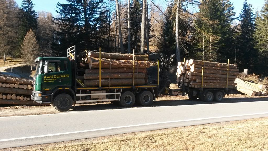 Andi Caviezel Holztransporte