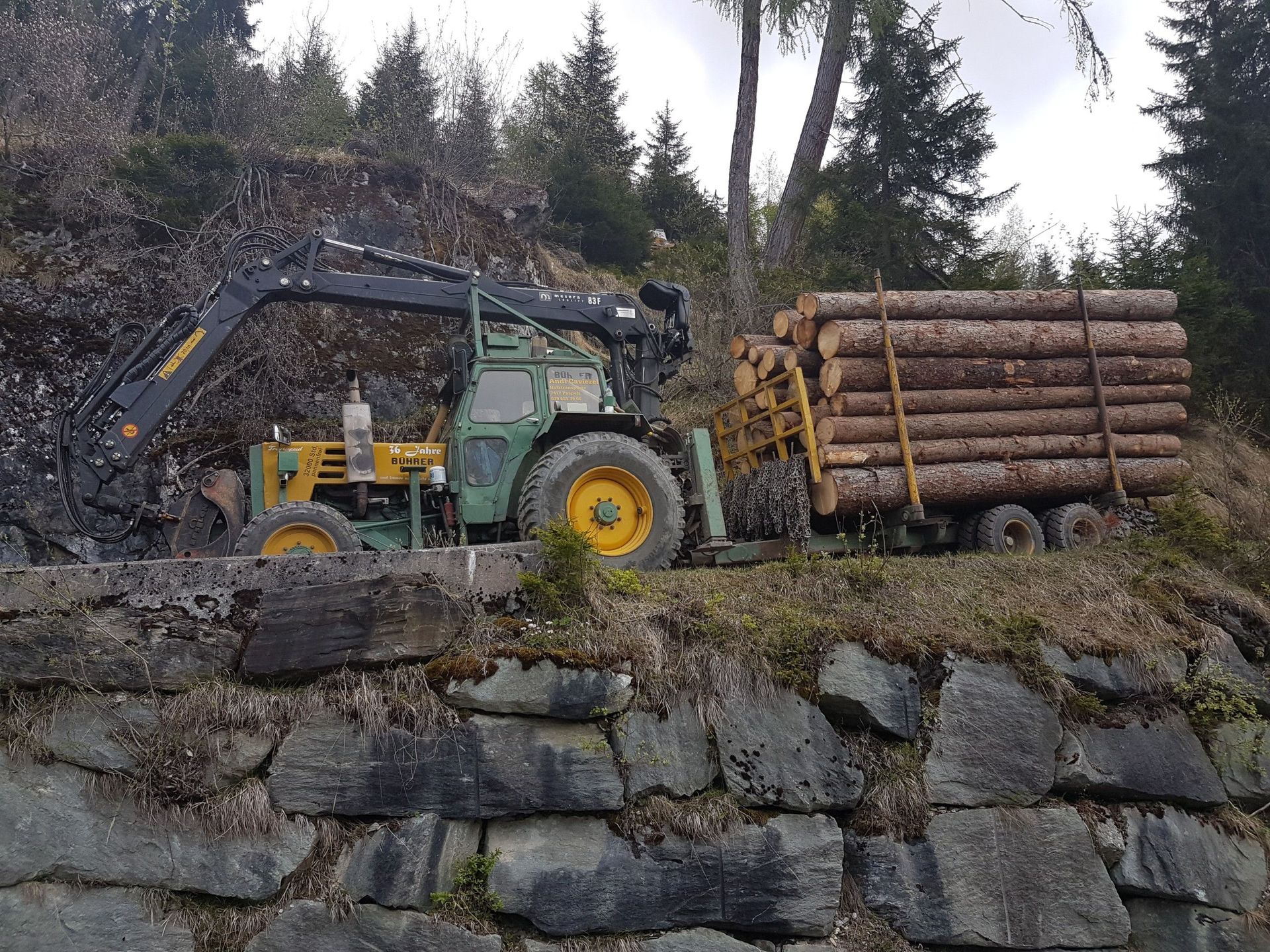 Traktor mit Baumstämmen - Andi Caviezel Holztransporte