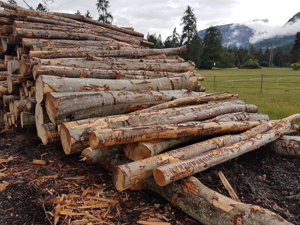 Brennholz - Andi Caviezel Holztransporte
