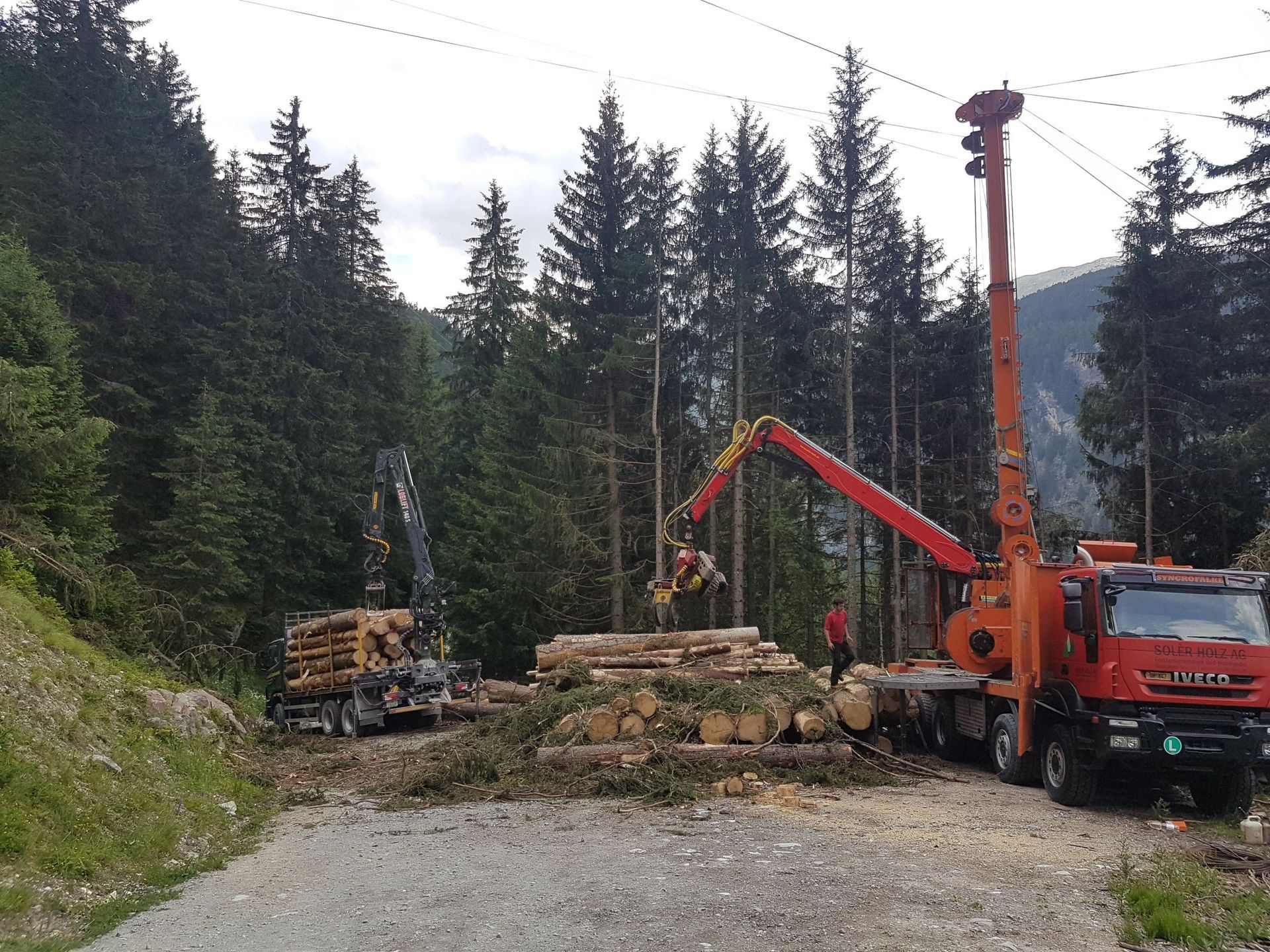 Andi Caviezel Holztransporte