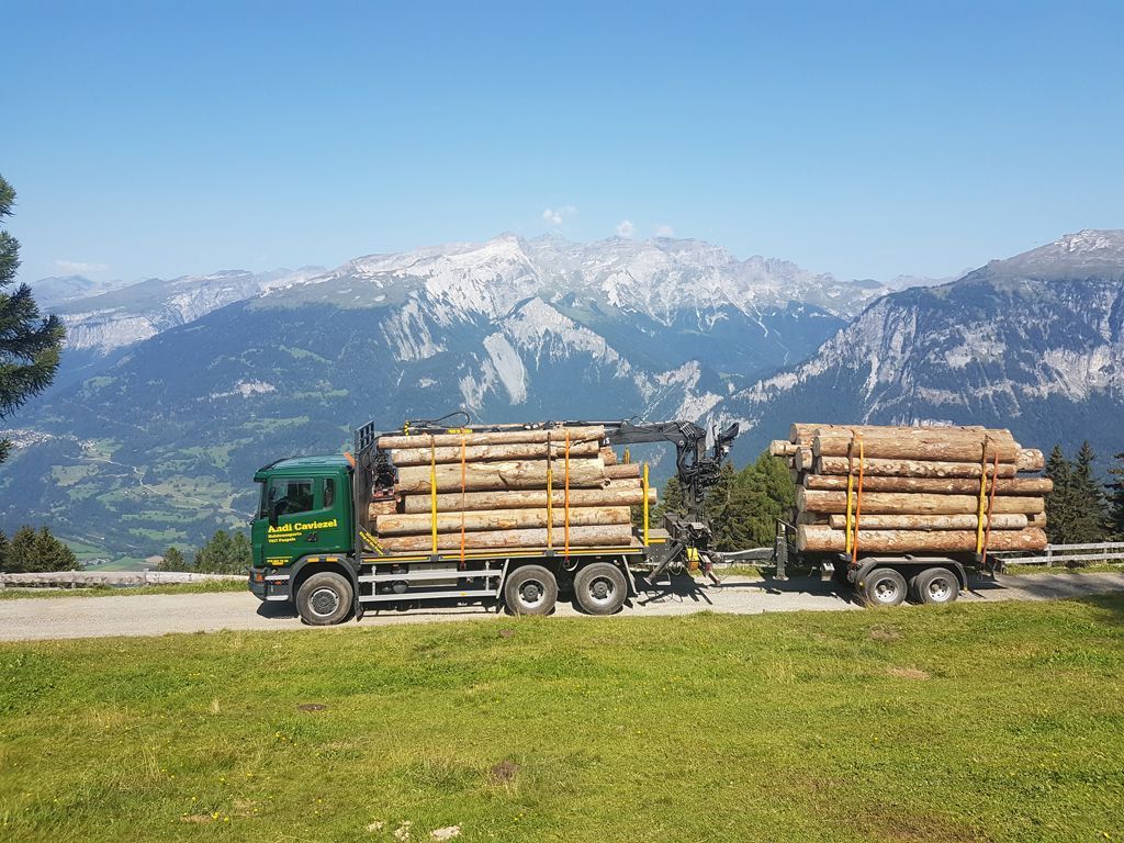 Andi Caviezel Holztransporte
