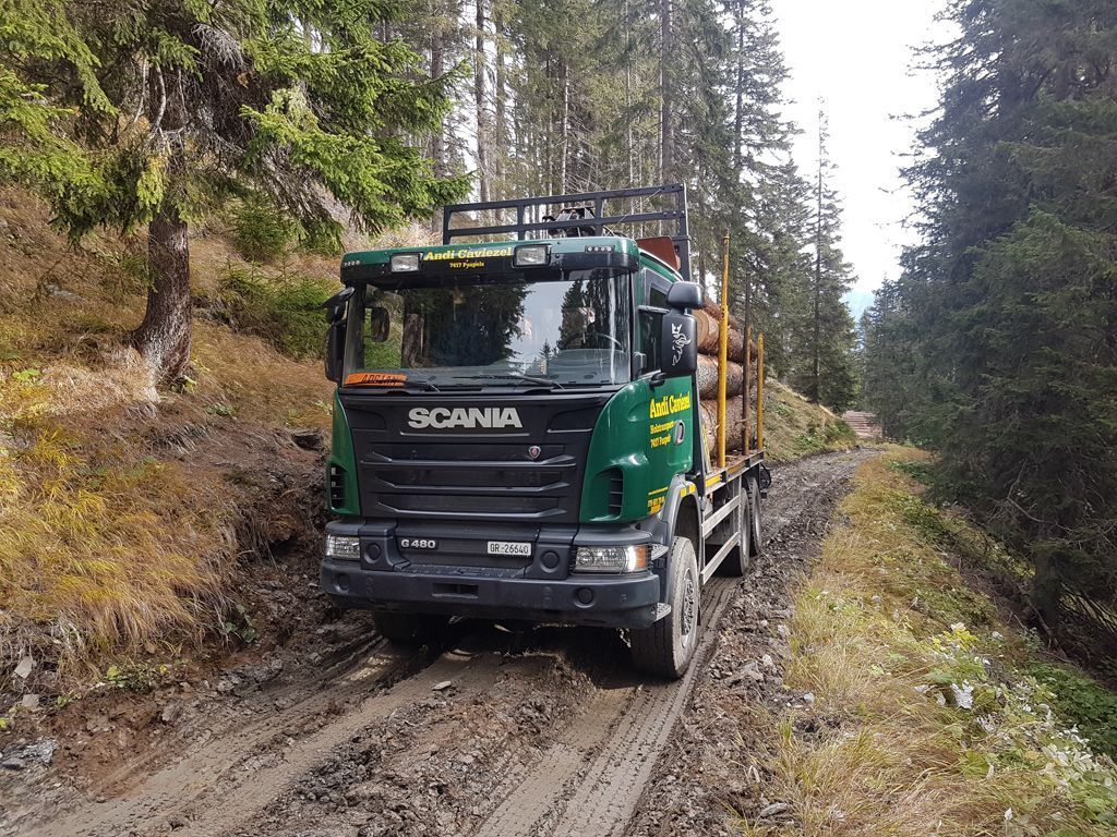 Andi Caviezel Holztransporte