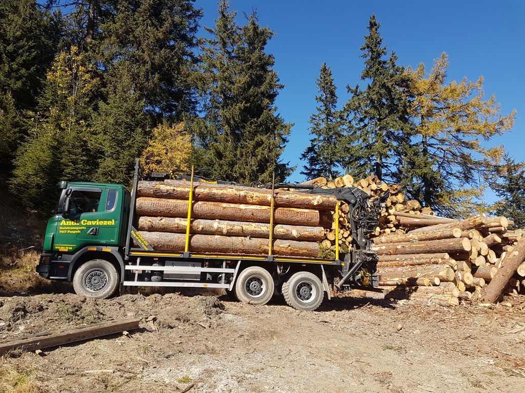 Andi Caviezel Holztransporte