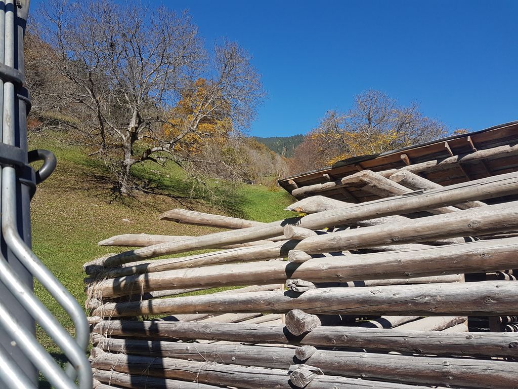 Andi Caviezel Holztransporte