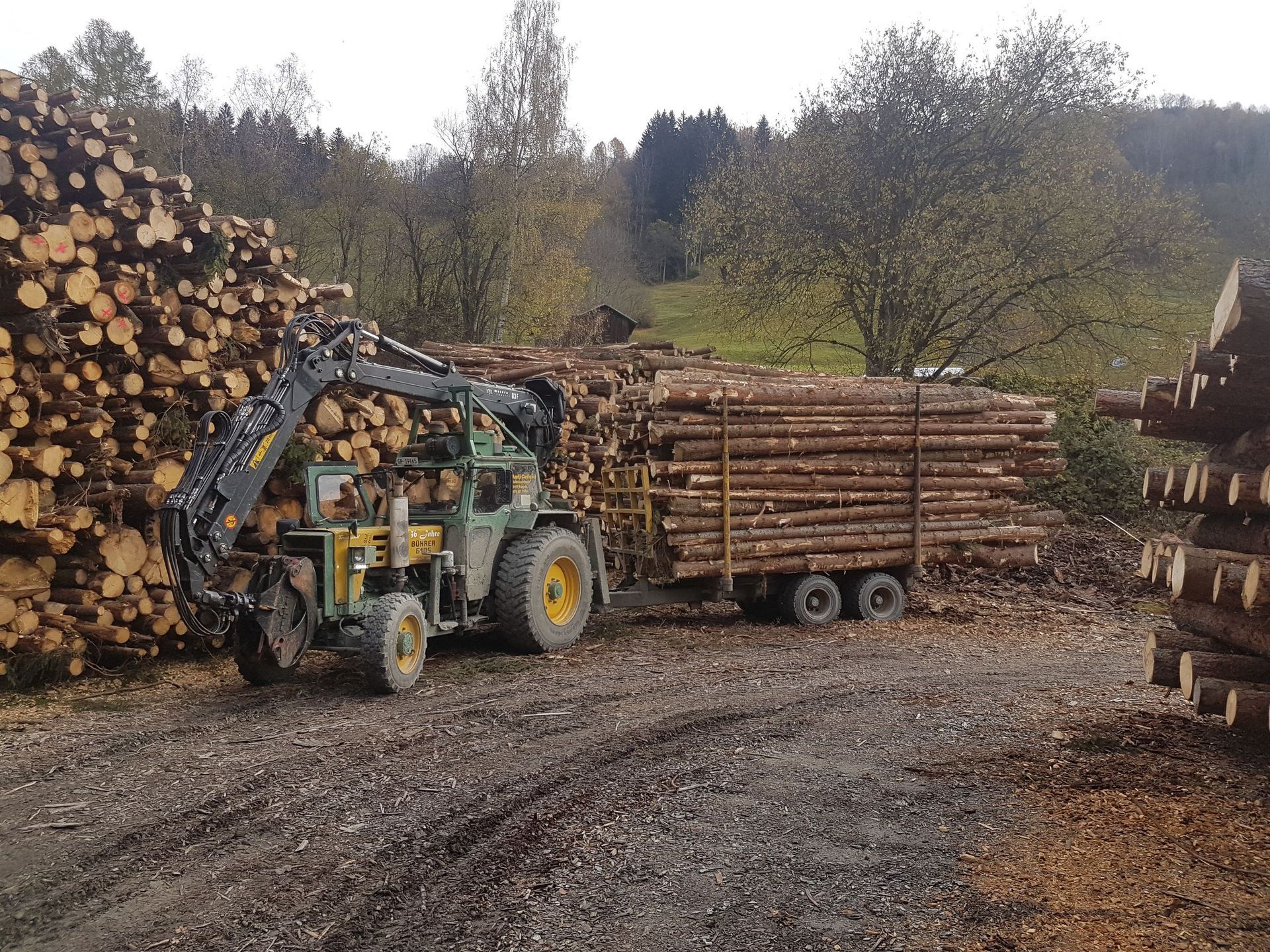 Andi Caviezel Holztransporte