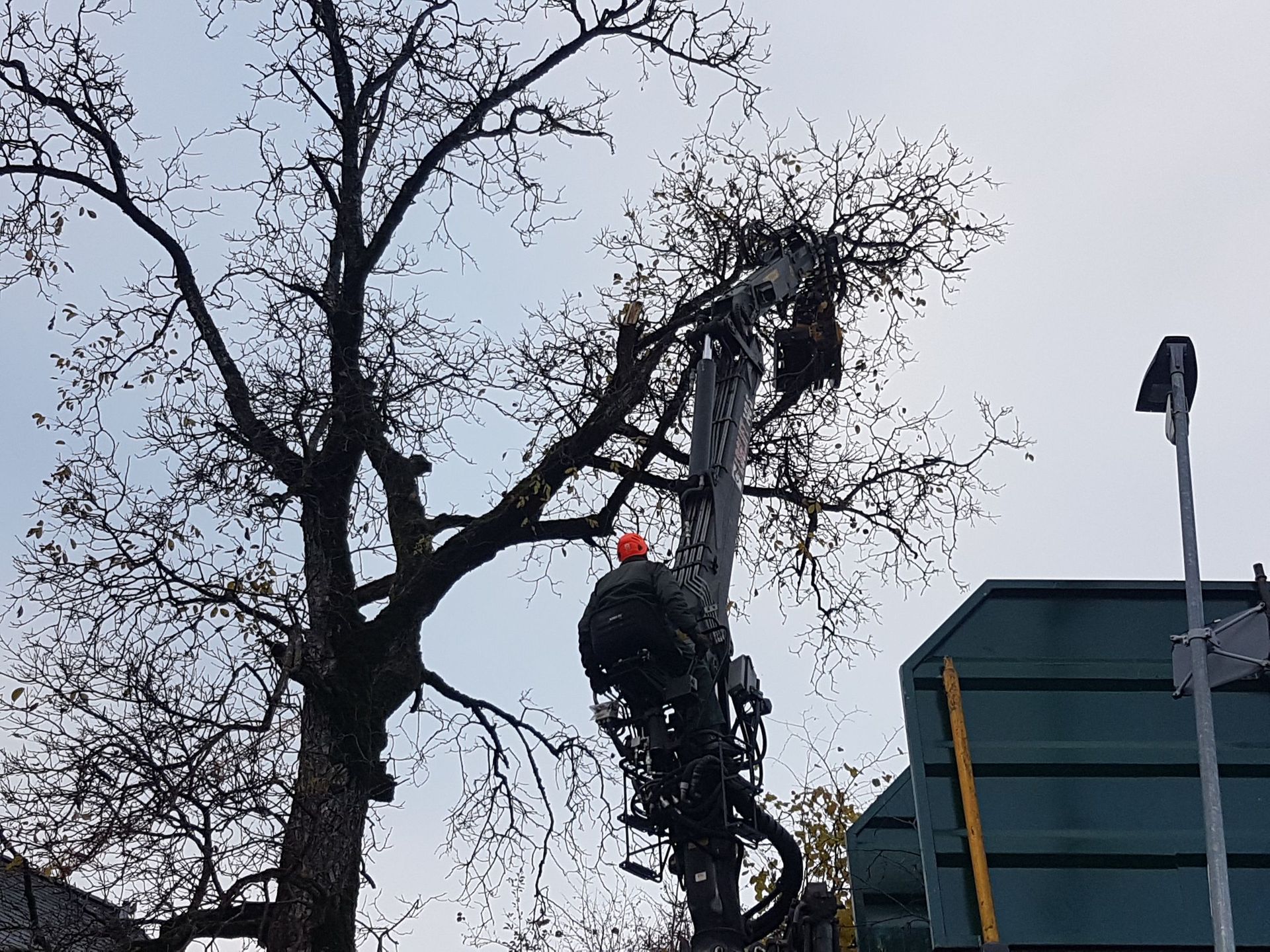 Andi Caviezel Holztransporte
