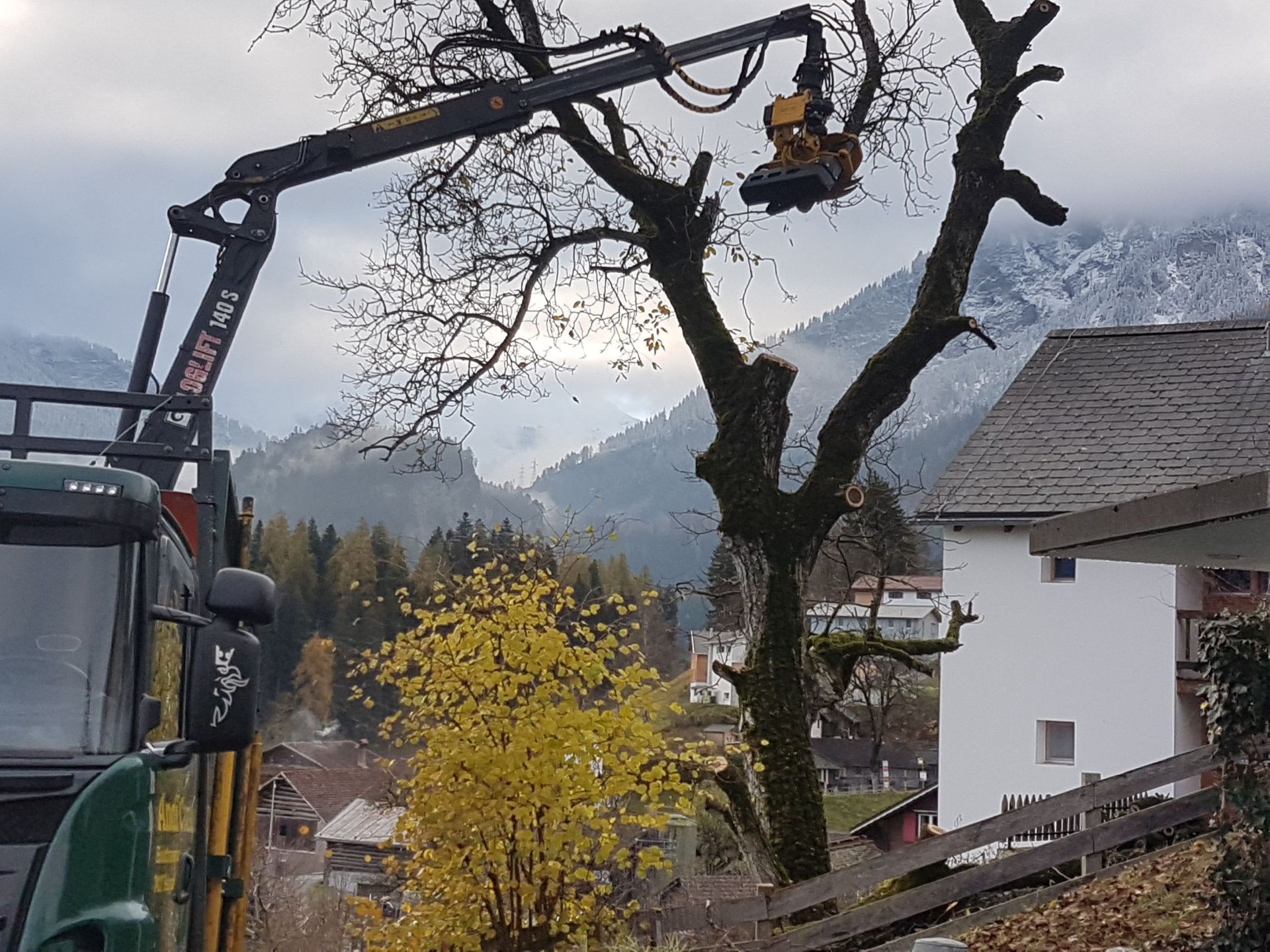 Andi Caviezel Holztransporte