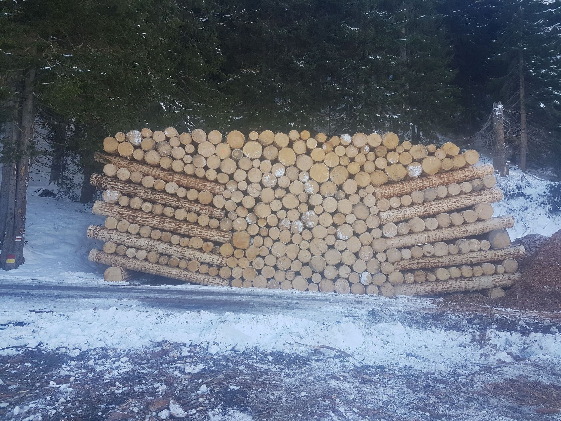 Andi Caviezel Holztransporte