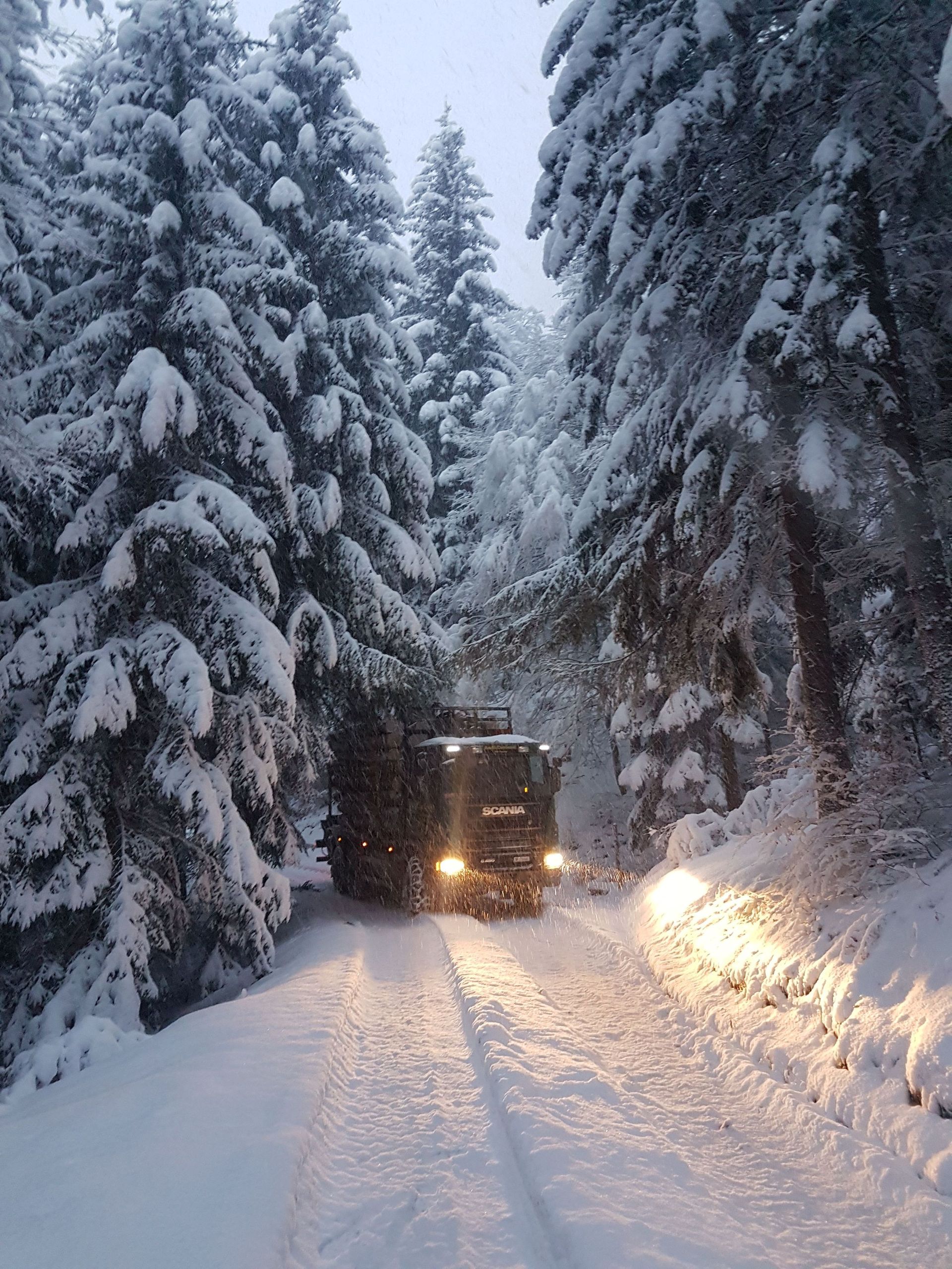 Andi Caviezel Holztransporte