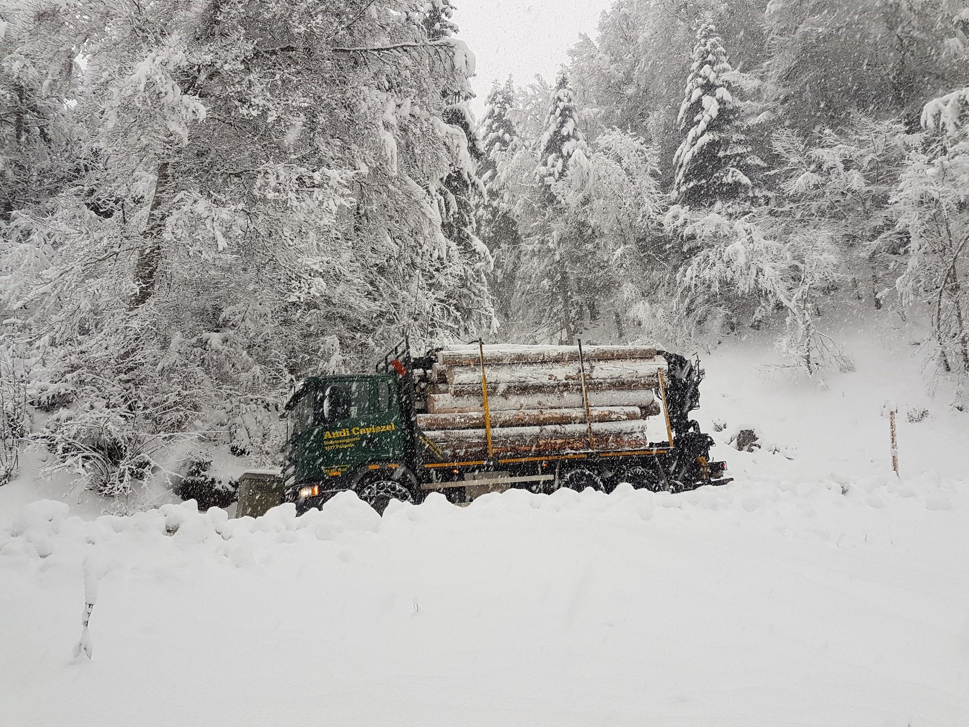 Andi Caviezel Holztransporte