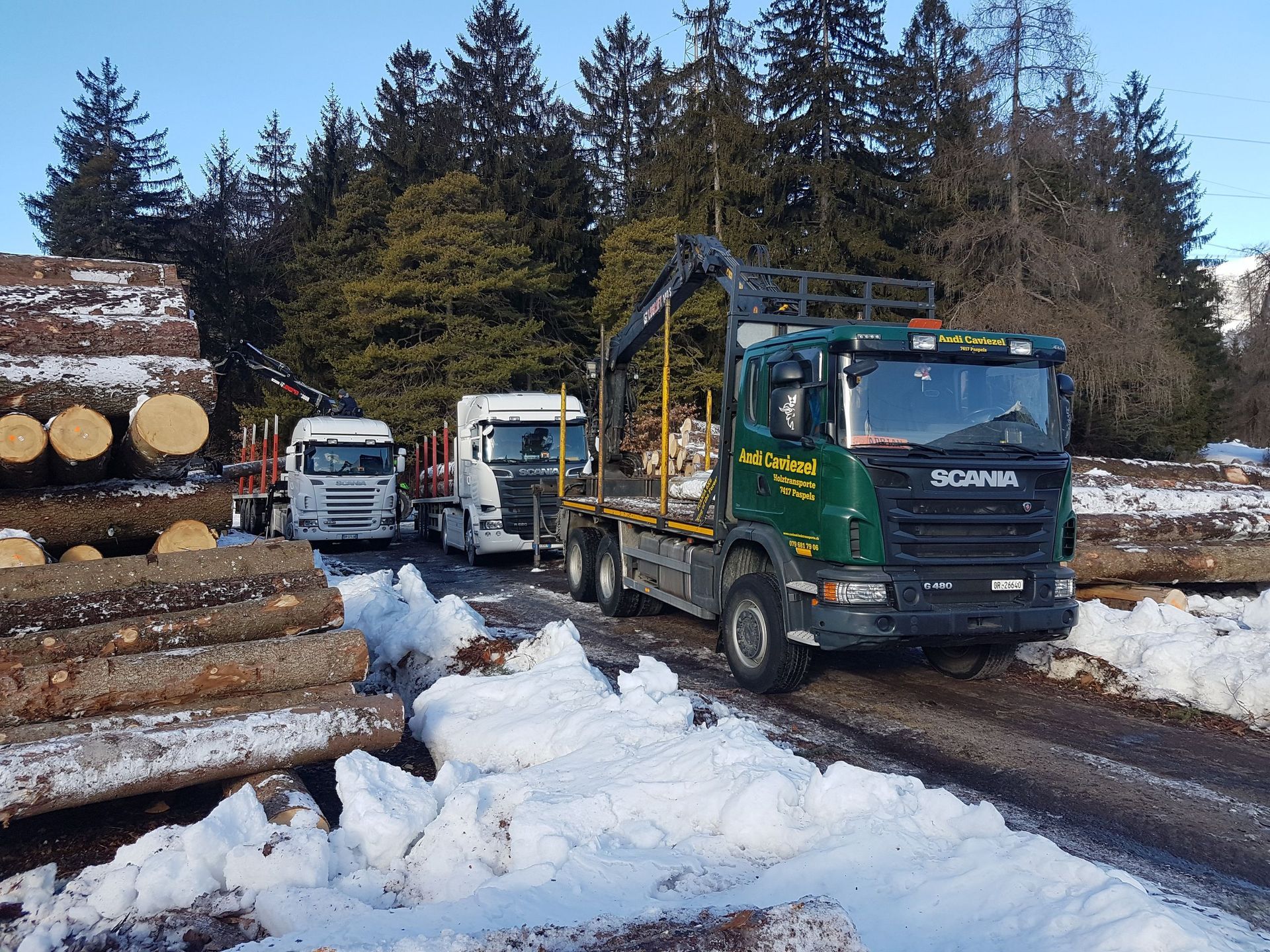 Andi Caviezel Holztransporte