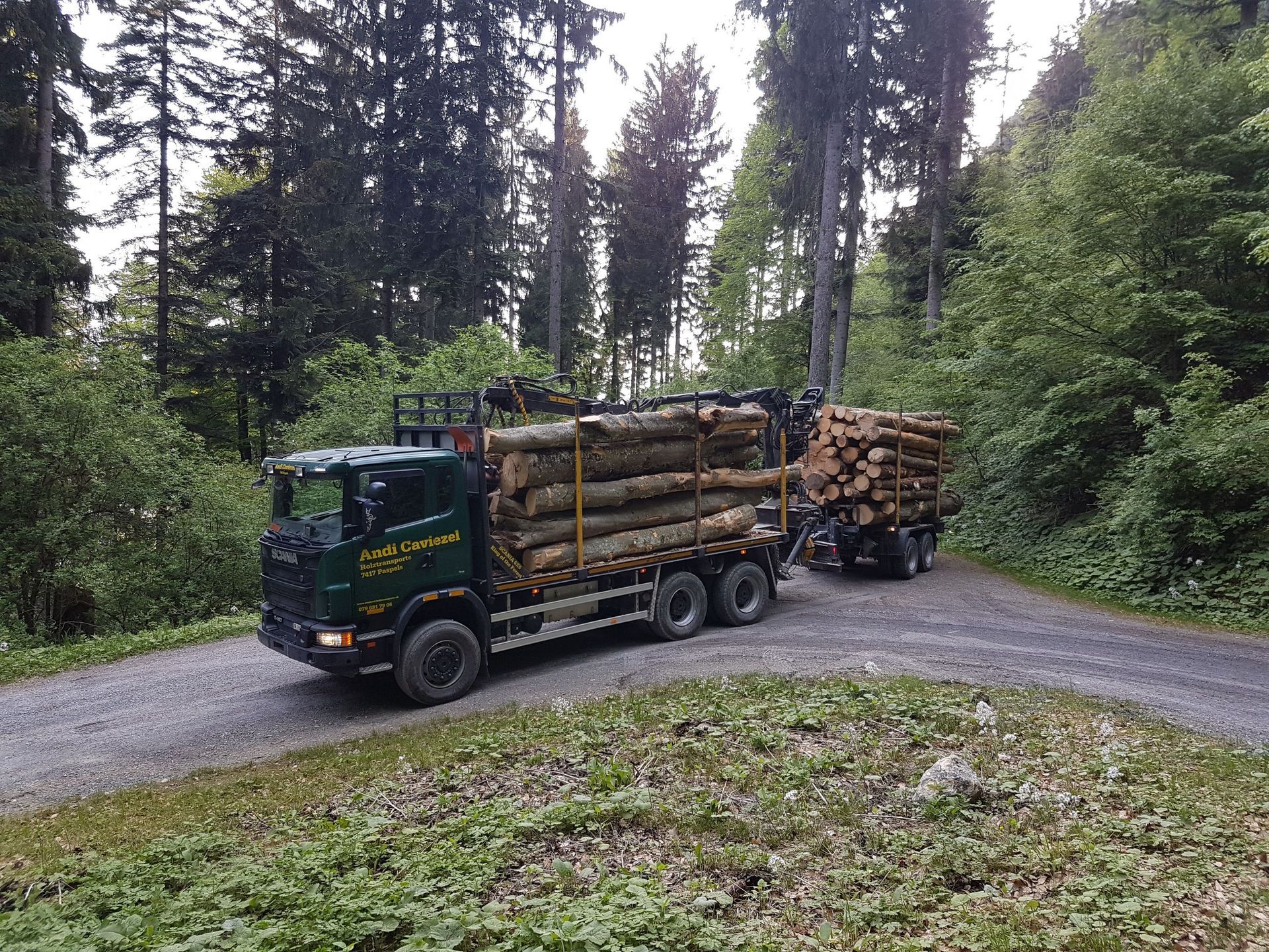 Andi Caviezel Holztransporte