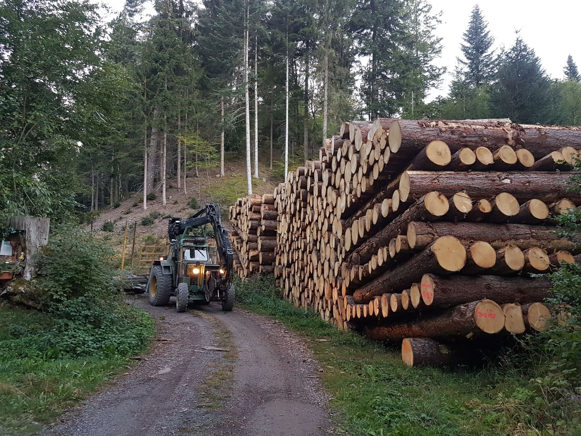 Andi Caviezel Holztransporte