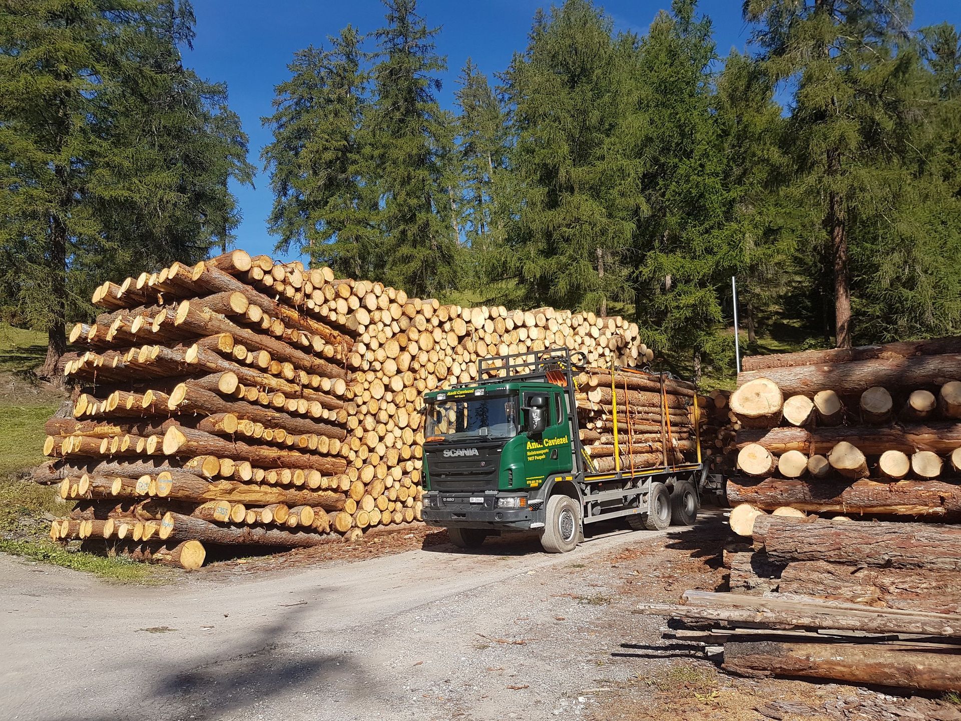 Andi Caviezel Holztransporte