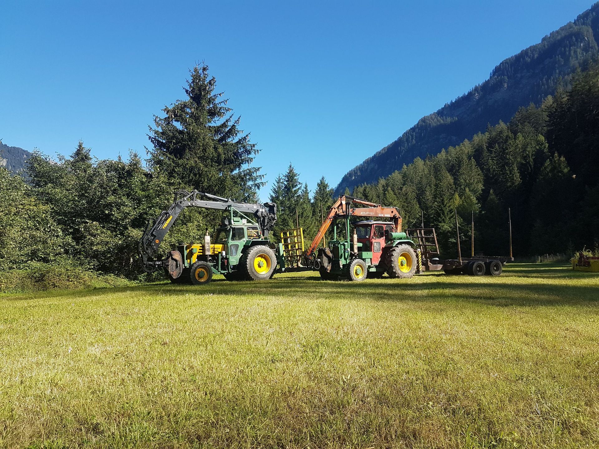 Andi Caviezel Holztransporte