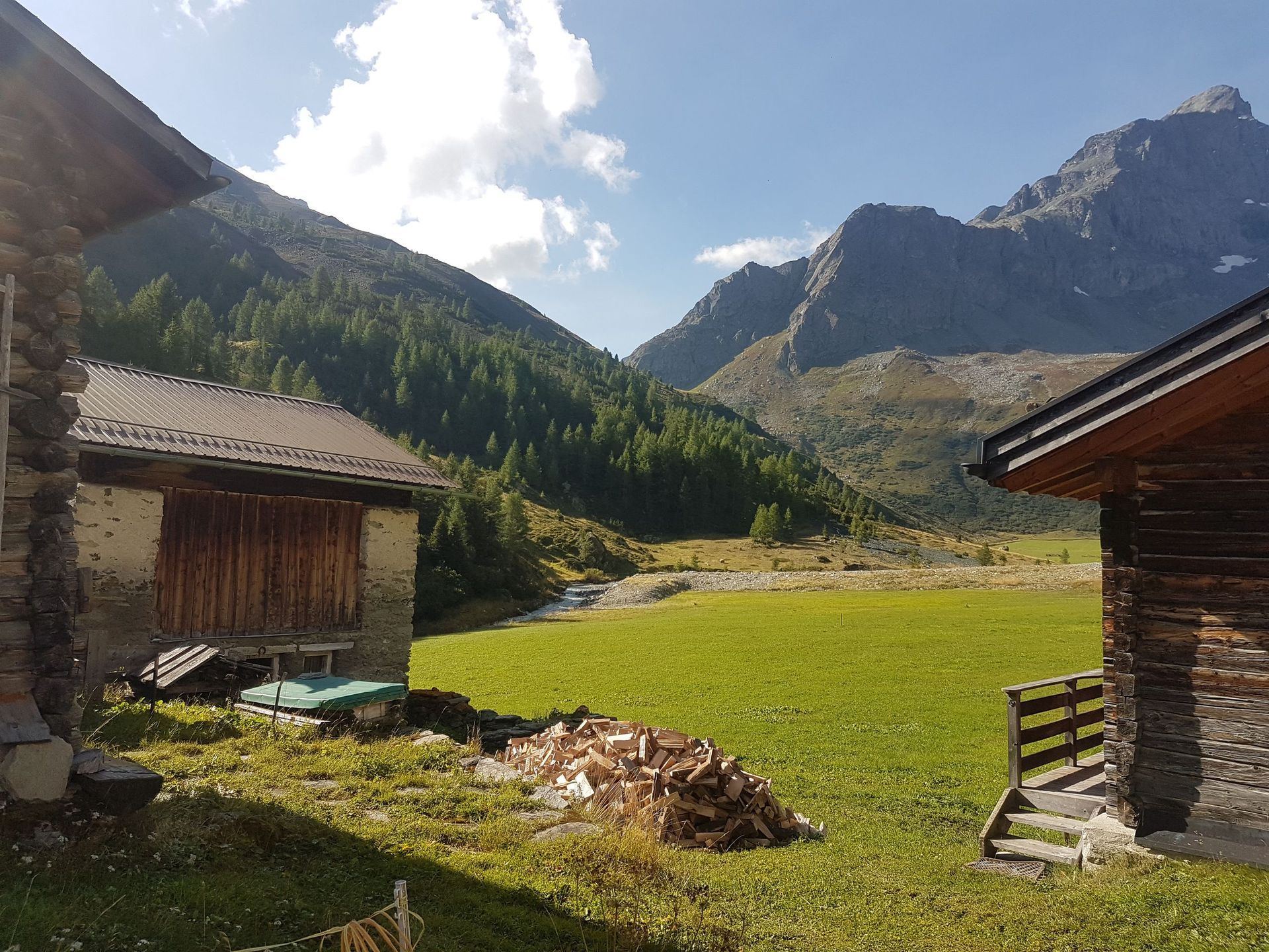 Andi Caviezel Holztransporte
