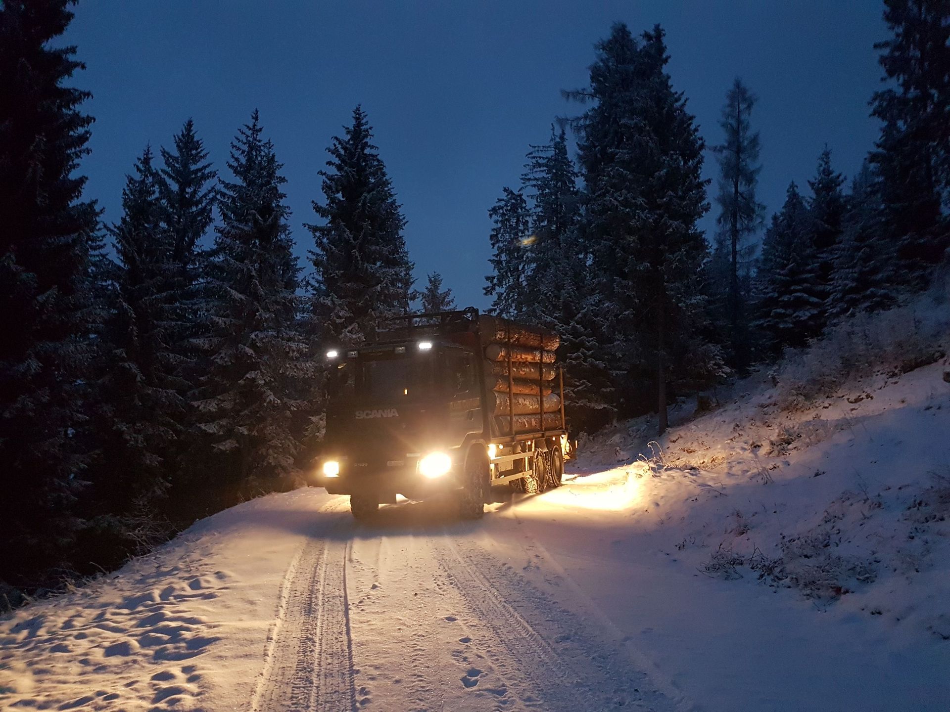 Andi Caviezel Holztransporte