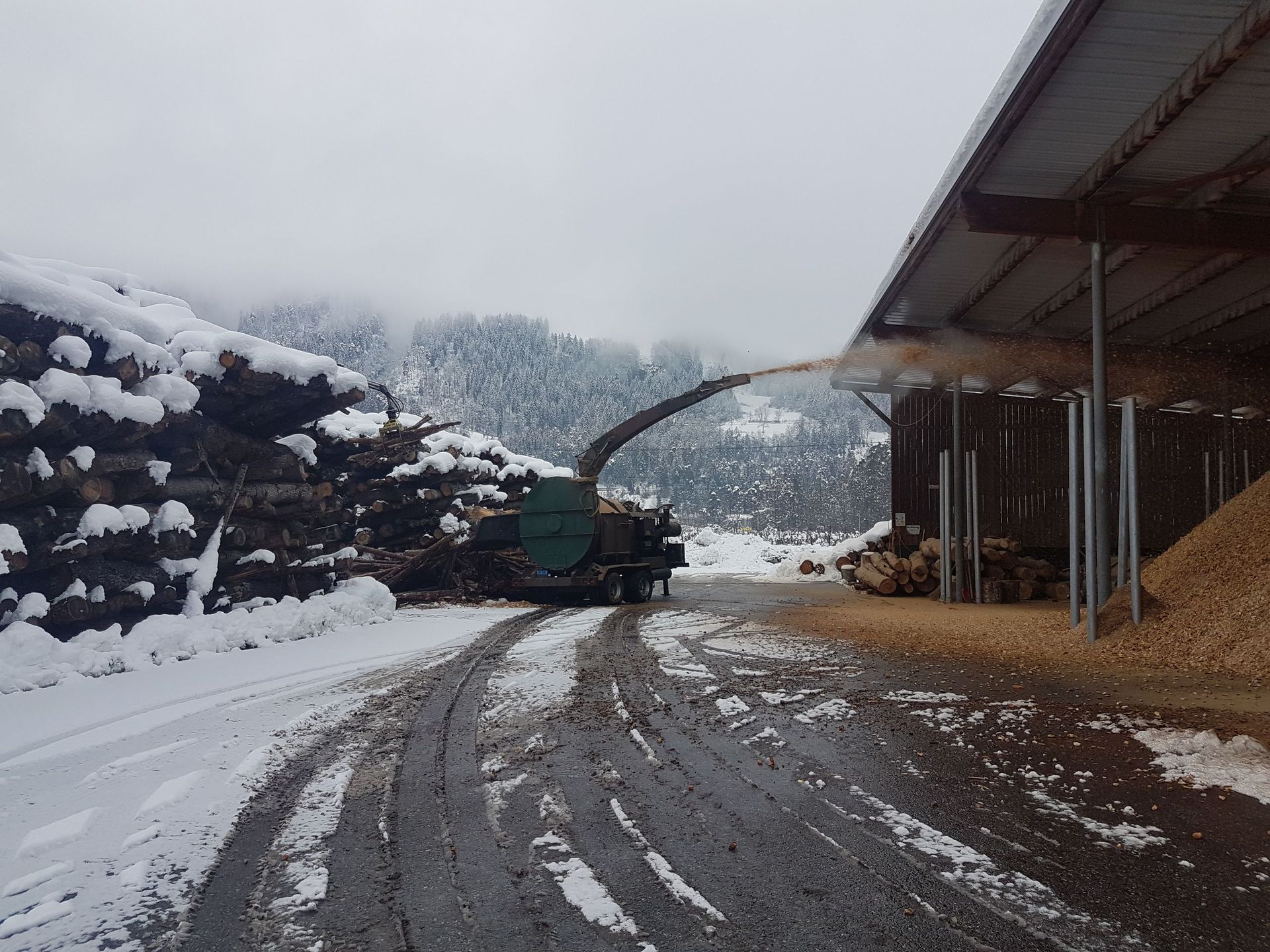 Andi Caviezel Holztransporte